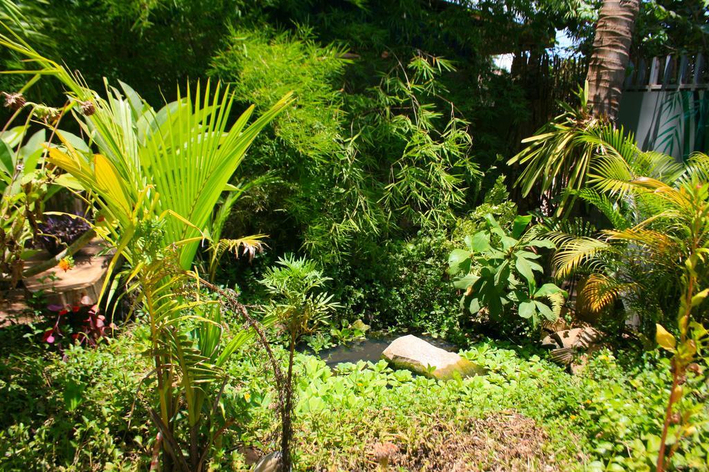 Firefly Guesthouse - The Berlin Angkor Siem Reap Exteriör bild