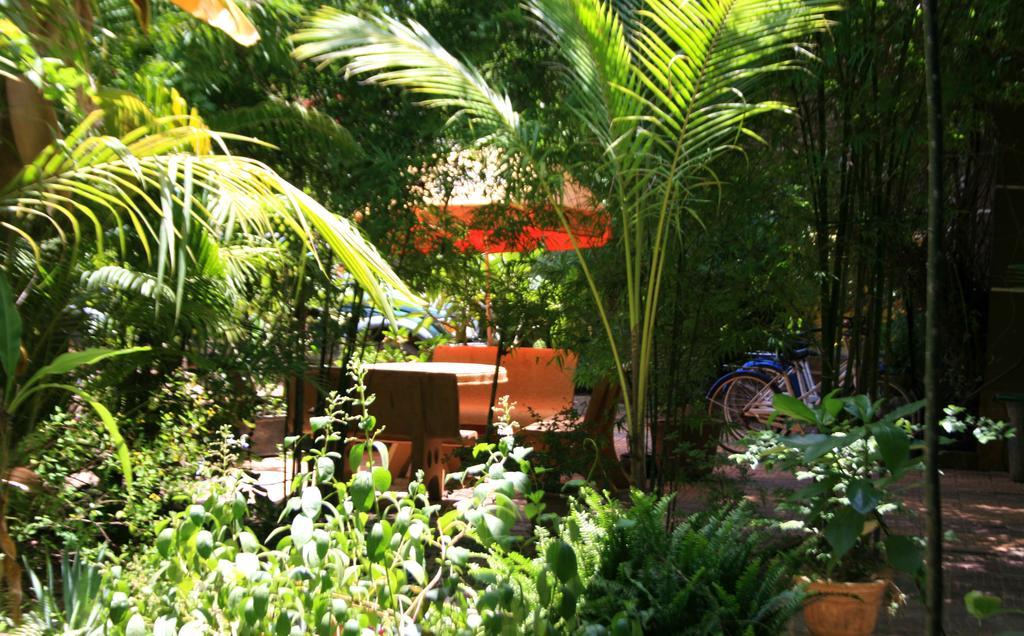 Firefly Guesthouse - The Berlin Angkor Siem Reap Exteriör bild
