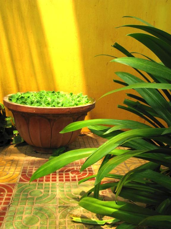 Firefly Guesthouse - The Berlin Angkor Siem Reap Exteriör bild
